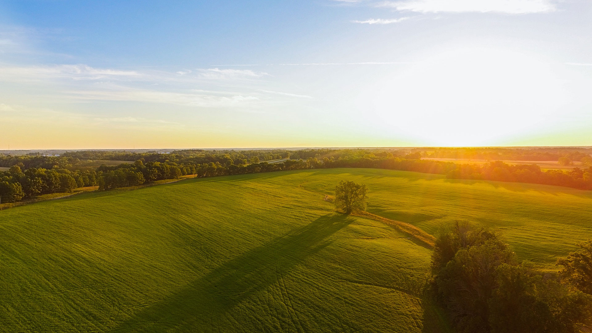 ANBO.COM自有农场数量和规模亚洲第一