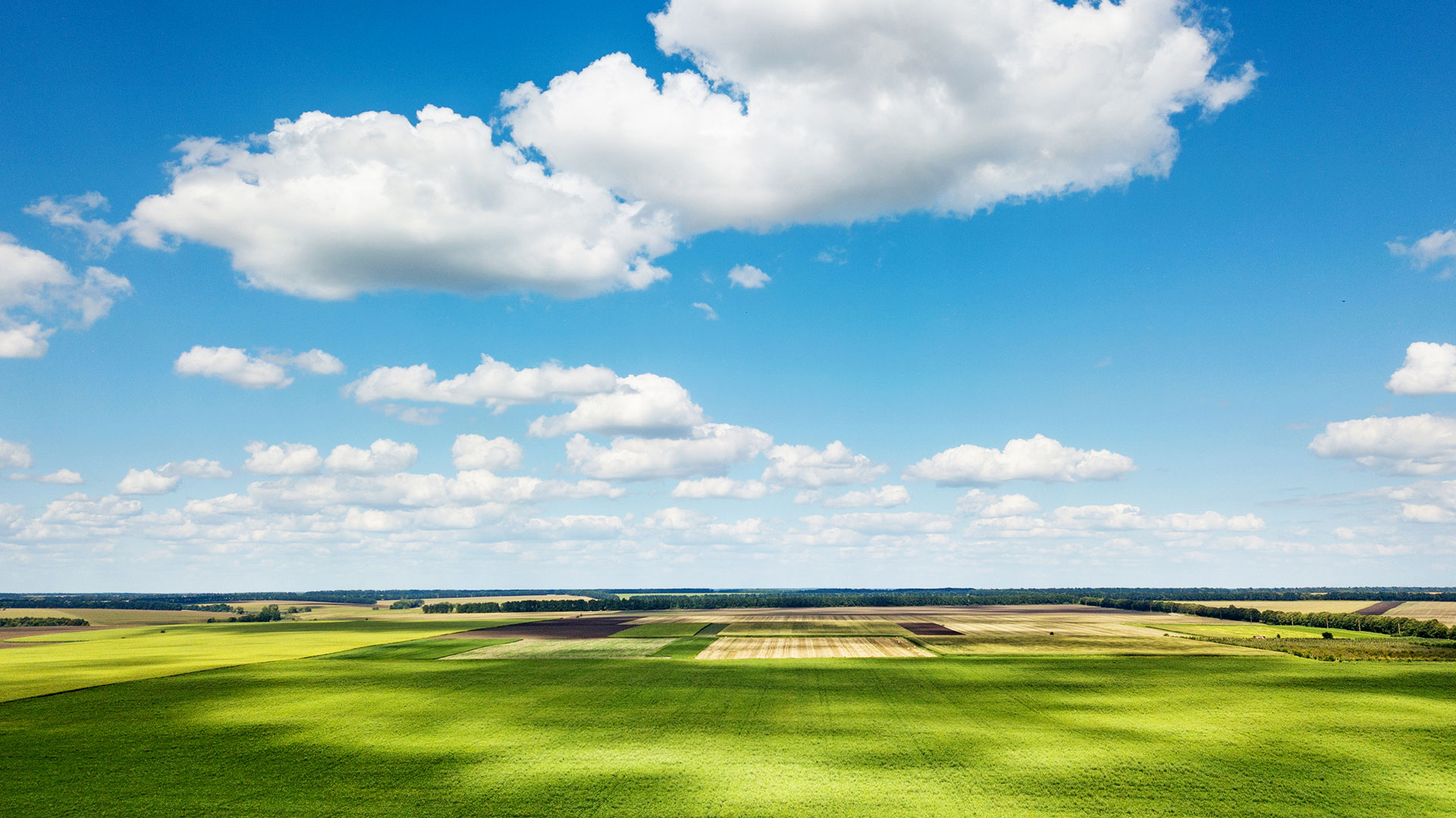 ANBO.COM在全国布局30个国际标准的自有生态农场